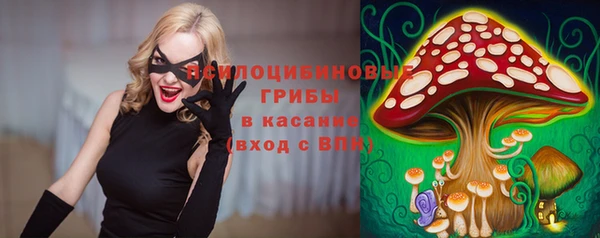 дмт Дмитриев
