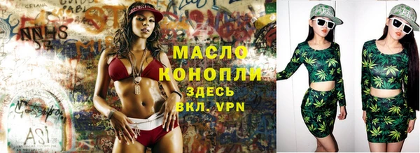 дмт Дмитриев