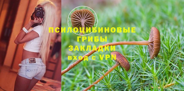 тгк Елабуга
