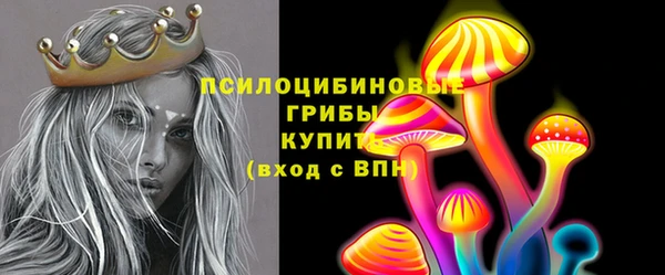 тгк Елабуга