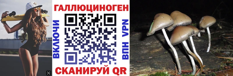 Псилоцибиновые грибы Psilocybe  Кумертау 