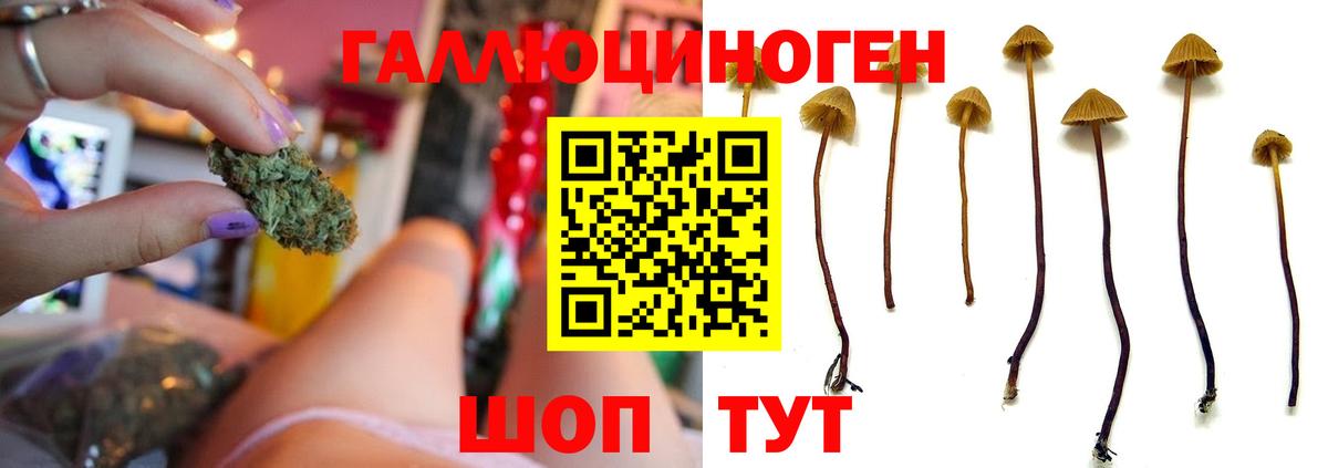 Псилоцибиновые грибы GOLDEN TEACHER  наркота  Кумертау  Вход с VPN 