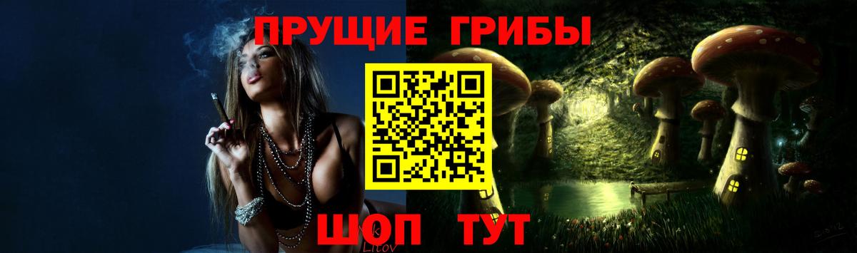Галлюциногенные грибы Psilocybine cubensis Кумертау